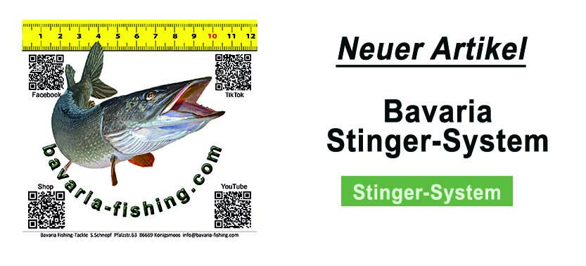 Angebotsbanner
